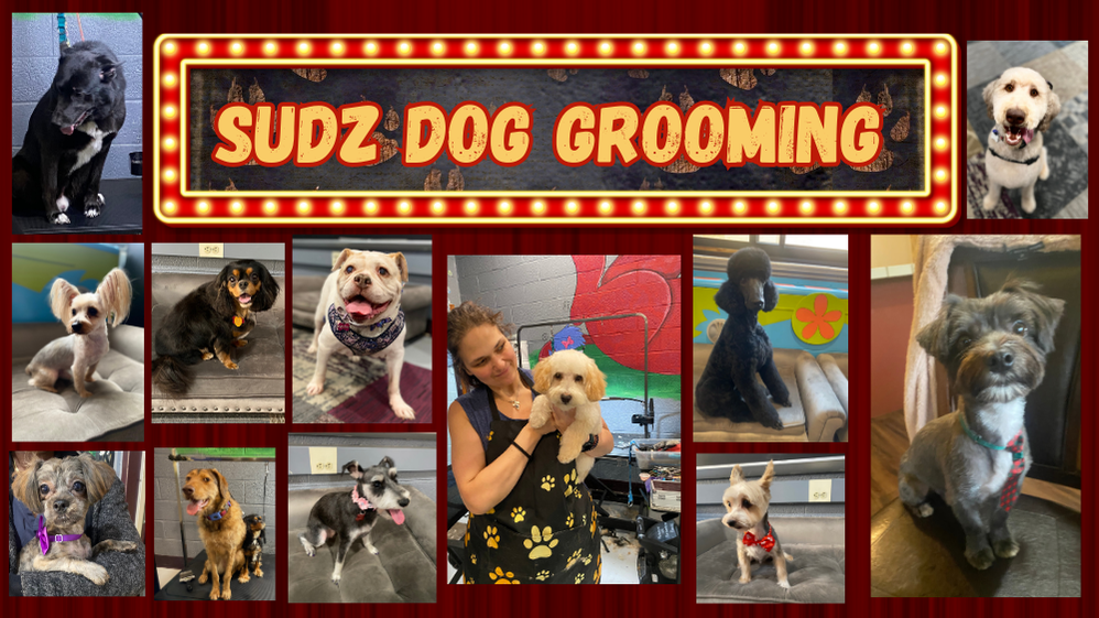 Sudz Dog Grooming promo image