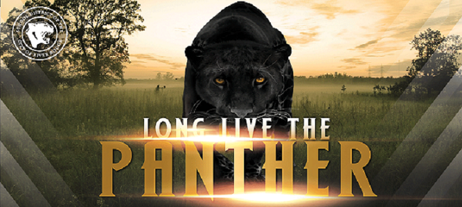 Long Live the Panther